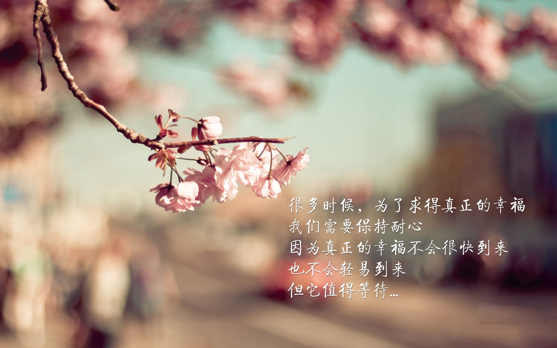 _骑士核心发挥稳定,季后赛希望不断增长_,骑士队员2021