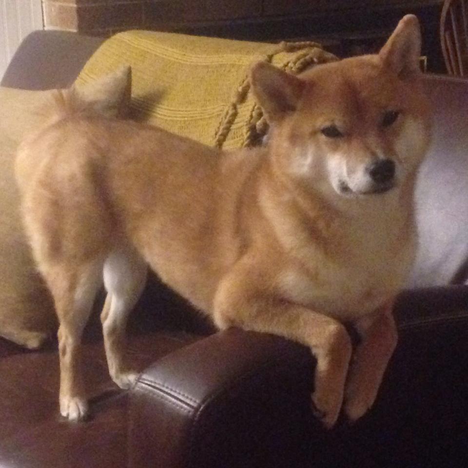 全国新兴电子竞技大赛,虚拟竞技新时代到来,全国电子竞技比赛