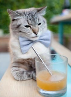 开云APP-史上最“炫”扣篮：激情与艺术的完美融合，扣篮超燃bgm