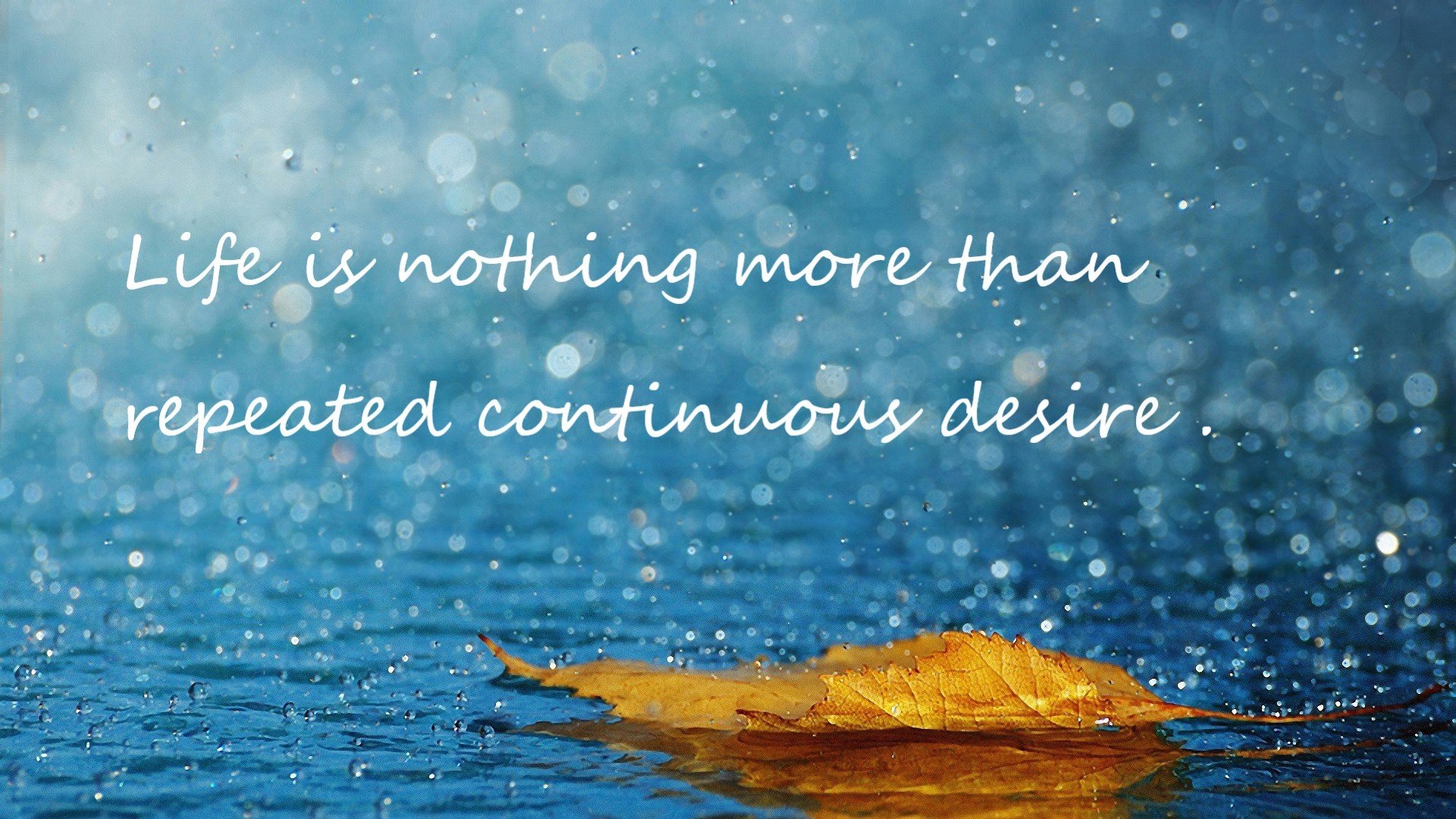 德甲:门兴3-0大胜奥格斯堡,防线稳固无比,门兴1_1奥格斯堡