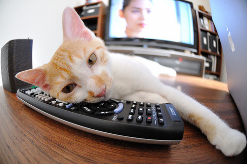 KAIYUNAPP-法甲最新战果：逆转、爆冷，精彩纷呈！，法甲前瞻