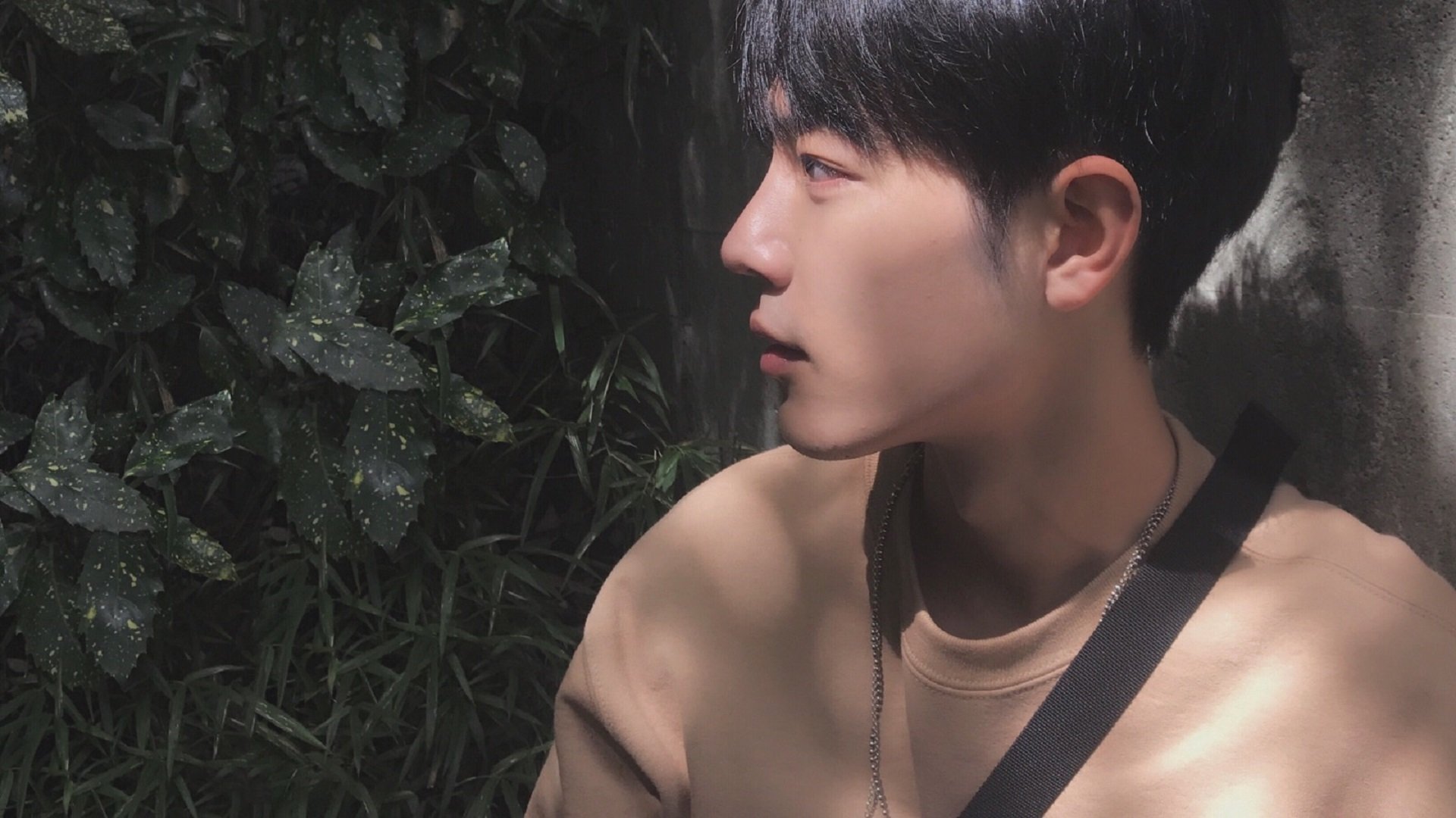 篮球运动员专项技能测试标准完善,篮球运动员专项体能训练