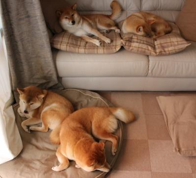 开云平台-赛车改装揭秘：升级背后的技术支撑，赛车都用什么车改装