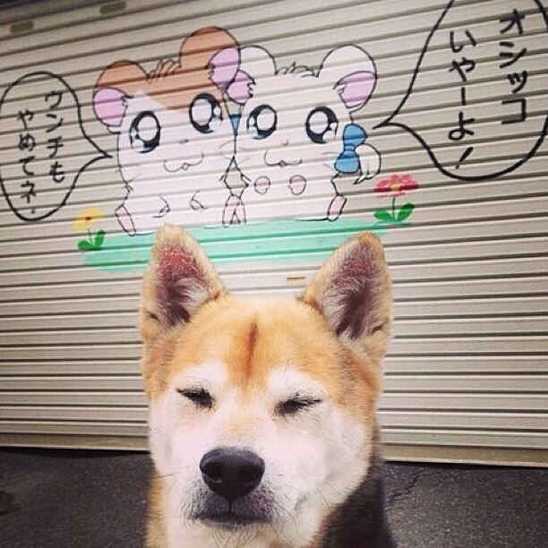 那些影响F1历史的瞬间,f1 历史