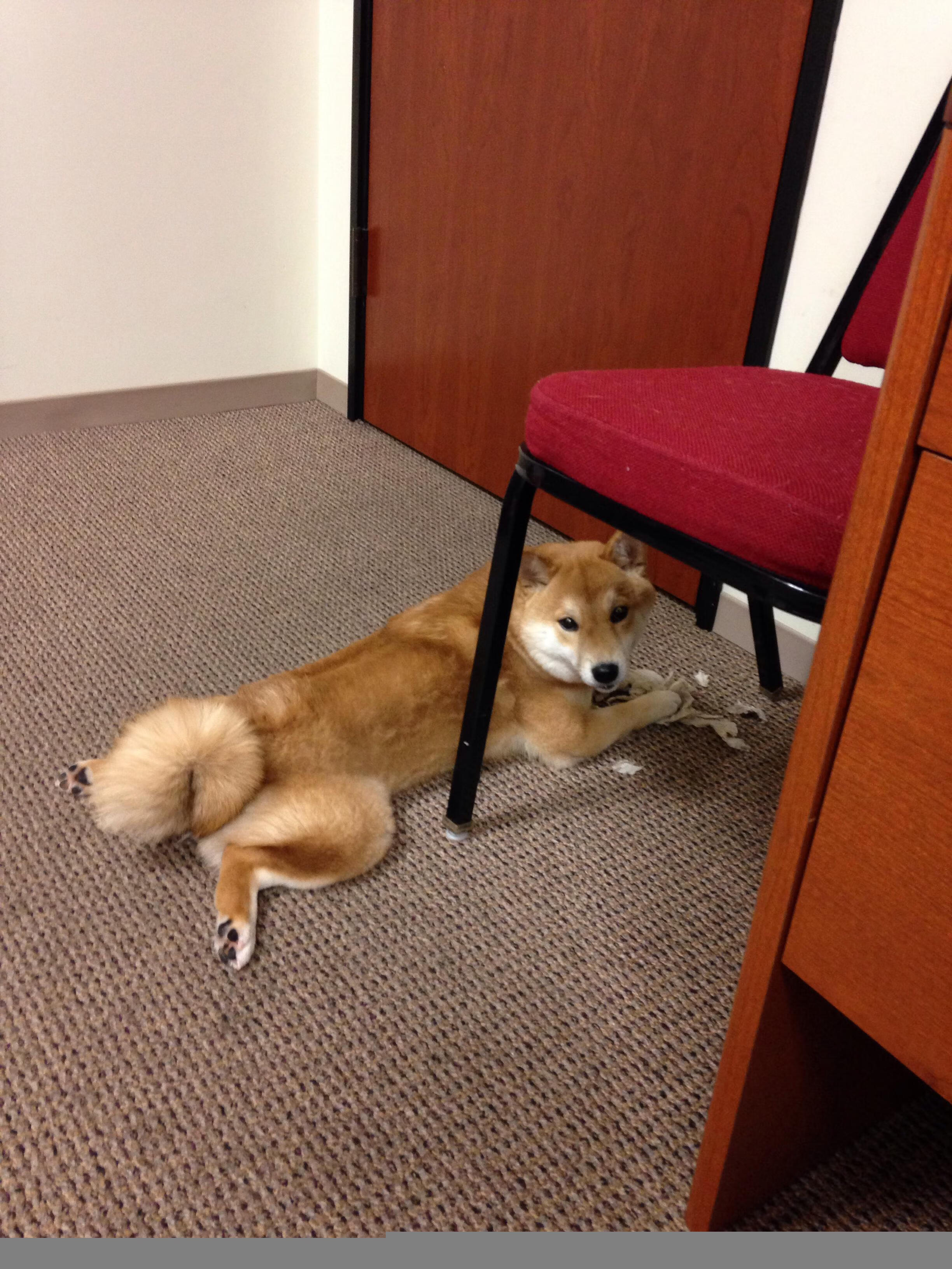 kaiyun网站-都市极限溜索：高空极速体验