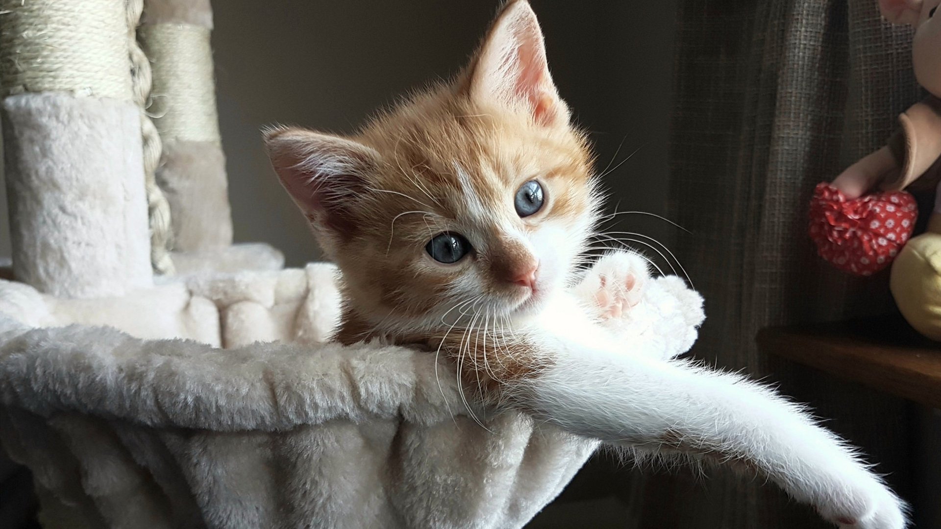 开云APP-德国队大胜一场，继续稳坐榜首位置，德国队阵容胜率高