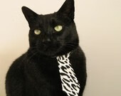 开云网站-最新游泳选手体能对比报告，游泳冠军体能不达标