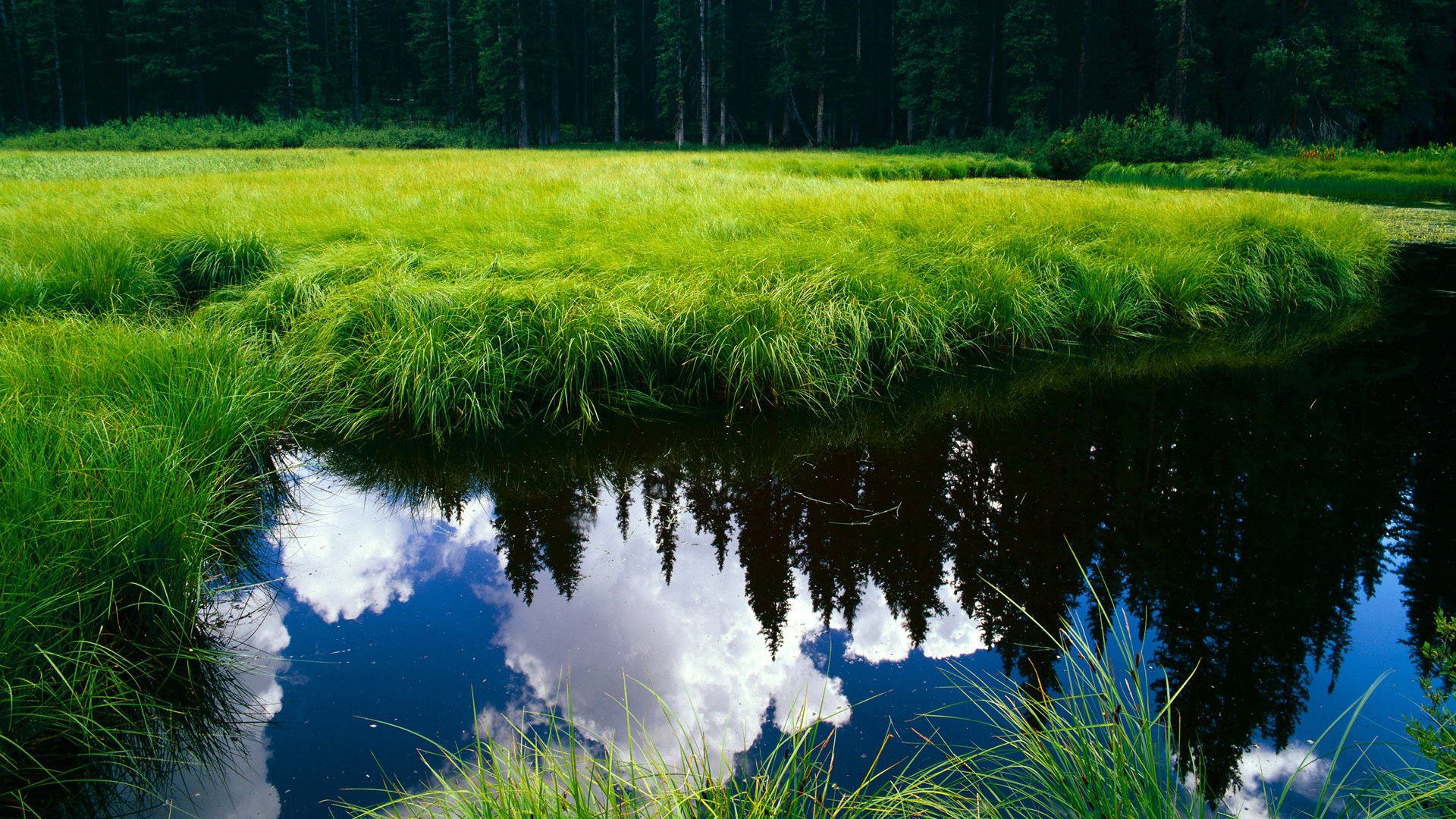 篮球皇帝詹姆斯再掀热潮,湖人再夺NBA总冠军,湖人夺冠詹姆斯历史地位