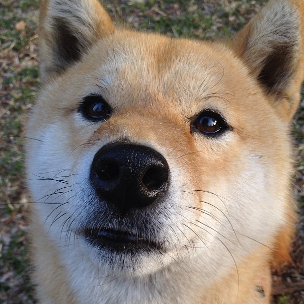 kaiyun官方入口登录-西班牙反曲弓男队在“春箭”大奖赛中获得第四名