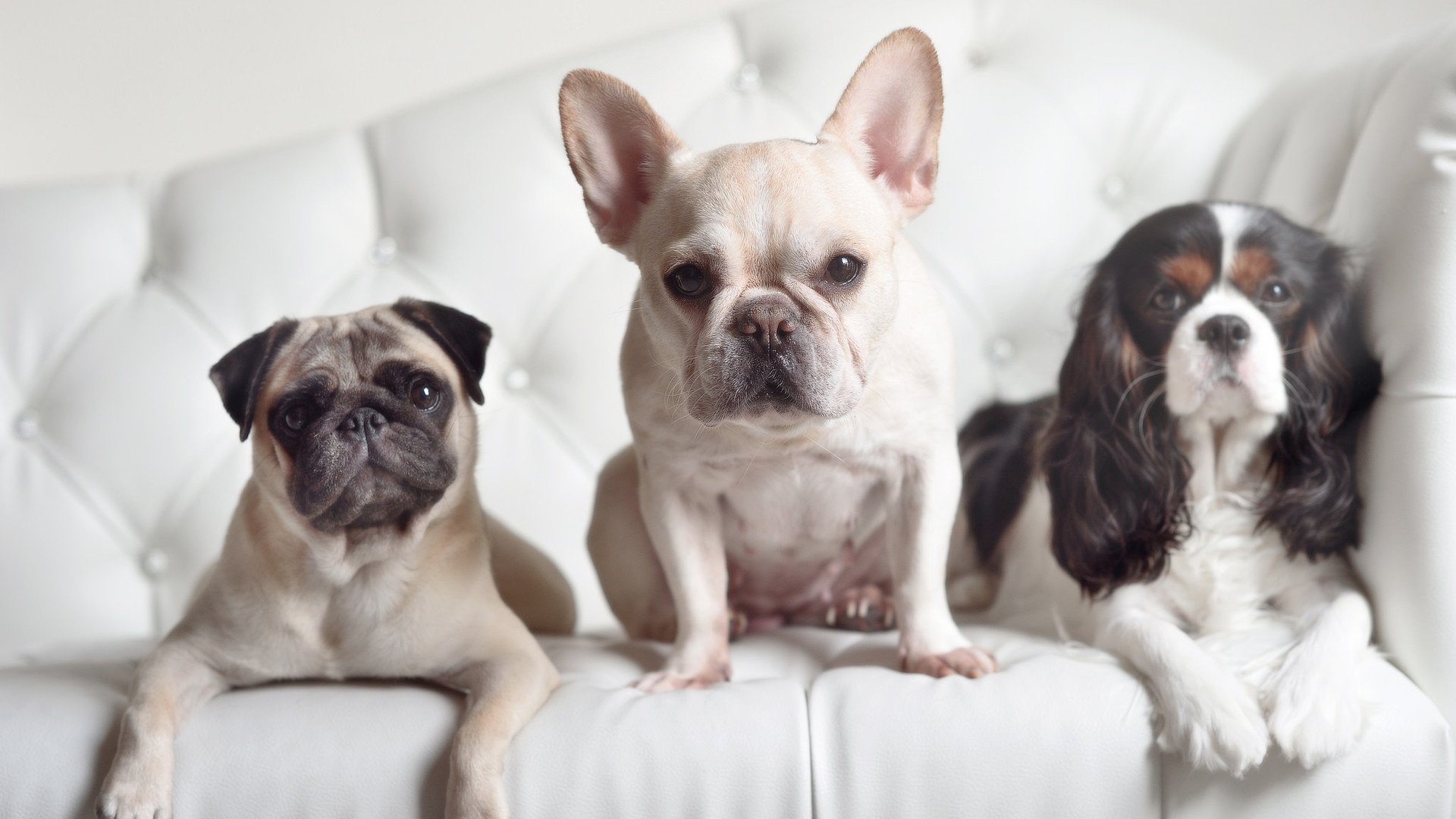 英超球队通过视频分析优化防守站位与协防效率，英超攻防转换