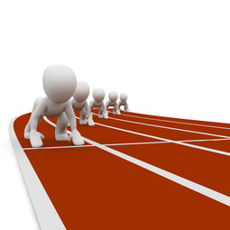 开云网页版登录入口-全运会筹备工作进入冲刺阶段，全运会备战方案