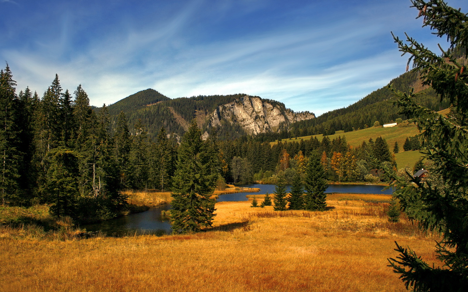 开云官网登录-快节奏下球员如何判断出手优先级