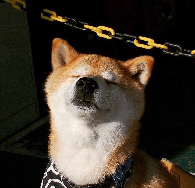 意甲传控流:组织、传球、得分的极致完美,西甲传控球队